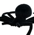 Floristik24 Hämähäkki musta 16cm flokkittu