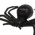 Floristik24 Hämähäkki musta 16cm kiillellä