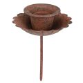 Floristik24 Kynttilänjalka kiinnitykseen, ruosteinen, Ø8,5cm, K4cm, 4 kpl