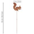Puutarhakeppi orava ruoste koristekeppi kukkapenkkiin ja kukkaruukkuun 52cm 2kpl | Floristik24.fi