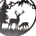 Koristeellinen varsi, metsän