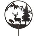 Koristeellinen varsi, metsän