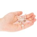Koristeelliset tähtikoristeet, hohtavaa kirkasta akryyliä, joulukuusenkoristeet, 9 cm, 6 kpl | Floristik24.fi