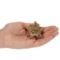 Koristeellinen kiiltävä tähti pöytäkoristeeseen, 5 cm, 9 kpl | Floristik24.fi