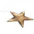 Floristik24 Puinen tähti ripustaa luonto liekitetty joulukoriste 20cm
