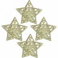 Floristik24 Scatter koriste tähdet, valoketjun kiinnitys, joulu, metallikoristeet kultainen Ø6cm 20 kpl