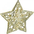 Floristik24 Scatter koriste tähdet, valoketjun kiinnitys, joulu, metallikoristeet kultainen Ø6cm 20 kpl