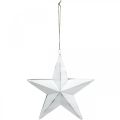 Floristik24 Tähti ripustettavaksi, joulukuusenkoriste, metallikoriste Valkoinen 19,5×18,5cm