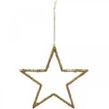 Floristik24 Glitteritähdet, adventtikoristeet, ripustettavat tähtikoristeet, kultaiset joulukoristeet 11,5 × 12cm 12kpl