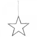 Floristik24 Tähti ripustettavaksi, joulukuusen koristelu, dekotähti hopea 11,5×12cm 12kpl
