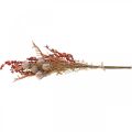 Floristik24 Keinotekoiset kasvit syyskoristeet ohdakkeet marjat saniaiset 65cm nippu
