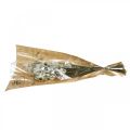 Floristik24 Acroclinium White, Dry Plants, Helichrysum, Dry Flowers L20-40cm 25g