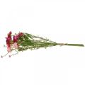 Floristik24 Rhodanthe pinkki-vaaleanpunainen, silkkikukat, tekokasvi, olkikukkakimppu L46cm