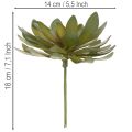 Keinotekoinen mehikasvi koristekasvina, vihreä, 18 cm, 3 kpl | Floristik24.fi
