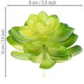 Keinotekoinen mehikasvi, vihreä, koristeeksi kulhoon tai maljakkoon, 10 cm, 4 kpl | Floristik24.fi