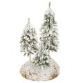 Floristik24 Lumipeitteiset kuuset, keinotekoinen talvimaisema joulukylään ja pöytäkoristeeseen, 29 cm