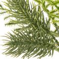 Keinotekoinen kuusenoksa juhlakoristeeseen, 22 cm, 2 kpl | Floristik24.fi