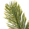 Keinotekoinen vihreä kuusenoksa talvikoristeisiin, 25 cm, 24 kpl | Floristik24.fi