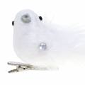 Floristik24 Dove kiinnikkeellä valkoinen 14cm 2kpl