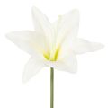 Floristik24 Keinotekoisia valkoisia tiikerililjoja maljakoihin ja asetelmiin, 29 cm 6 kpl:n kimppu