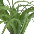 Floristik24 Aloe tekovihreä keinokasvi kiinnitettäväksi vihreä kasvi 38Øcm