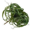 Floristik24 Tillandsia Keinotekoinen vihreä kasvi kiinnitettäväksi Large Green Ø40cm