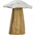 Floristik24 Pöytäkoristeet deco sieni metalli puu hopea puinen sieni H10cm