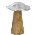 Floristik24 Pöytäkoristeet deco sieni metalli puu hopea puinen sieni H14cm