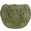 Floristik24 Istutusbetonia antiikkisen näköinen vihreä, ruskea ruukku pyöreä Ø15,5cm