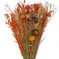 Floristik24 Kuivatut kukat kukkakimppu oranssi sekoitus 42cm