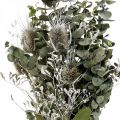 Floristik24 Kimppu kuivattuja kukkia eukalyptus ohdakekimppu 45-55cm 100g