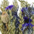 Floristik24 Kimppu kuivattuja kukkia Kimppu niittykukkia sininen H50cm 100g