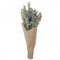Floristik24 Kimppu kuivattuja kukkia Kimppu niittykukkia sininen H50cm 100g
