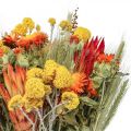 Floristik24 Kimppu kuivattuja kukkia Kimppu niittykukkia Oranssi K50cm 300g