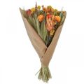 Floristik24 Kimppu kuivattuja kukkia Kimppu niittykukkia Oranssi K50cm 300g
