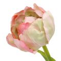 Floristik24 Tulppaani vaaleanpunainen, vihreä 37cm 6kpl