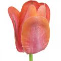Floristik24 Tulppaani tekokukka punainen, oranssi Tekokukka kevätkukka H67cm