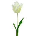 Floristik24 Keinotekoinen valkoinen tulppaani 70cm