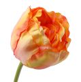 Floristik24 Tulppaanit vaaleanpunainen-keltainen 86cm 3kpl