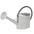 Floristik24 Metallinen kastelukannu, hopeanharmaa, tyylikäs puutarhakoriste, kukkamaljakko, P53cm K29cm