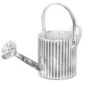 Floristik24 Vintage-istutusruukku Ø17cm, koristeellinen kastelukannu, metallinen ruukku shabby chic -tyyliin