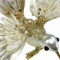 Floristik24 Kolibri, Joulukuusen koriste, Deco Bird, Joulukoriste L20cm L20cm W20cm