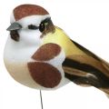 Floristik24 Kevätkoristeet, lintuja lanka, tekolintu ruskea, valkoinen H3cm 12kpl