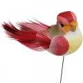 Floristik24 Kevät, lintu langalla, värikkäät kukkatulpat H2,5cm 24kpl