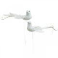 Floristik24 Valkoiset kyyhkyset, häät, koristekyyhkyt, lintuja vaijerilla H6cm 6kpl