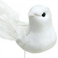Floristik24 Valkoiset kyyhkyset, häät, koristekyyhkyt, lintuja vaijerilla H6cm 6kpl