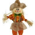 Floristik24 Deco Scarecrows on Stick 38cm 8kpl