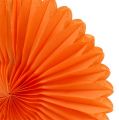 Floristik24 Hunajakennoinen paperi kukka oranssi Ø20cm 3kpl