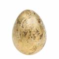 Floristik24 Viiriäisen muna koristeeksi tyhjä kulta 3cm 50kpl