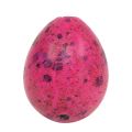 Floristik24 Viiriäisen munat vaaleanpunaiset 3,5-4cm puhalletut munat pääsiäiskoristeet 50 kpl